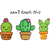 Cute cactus friends in pot