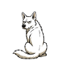 Don't Bother Me White Shepherd