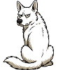 White Shepherd Shepherd Shepherd Dogs