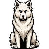 Chiens bergers blancs bergers