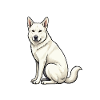 Don't Bother Me White Shepherd