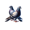 Pigeon Therapy Funny