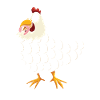 Chicken Whisperer Chicken Chicken Keeper Chickens