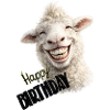 Smiling Sheep Birthday Design