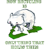 Polar bear ecology sign