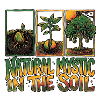 Mystic Reggae Soil