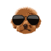 Doodle Dogs Rule Sunglasses Tee