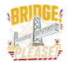 Bridge Engineer Civil Engineering
