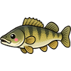 Mignons Zander Kids Fishing Design