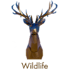 Faune géométrique des cerfs