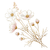 Accents dorés, fleurs blanches