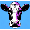 vache