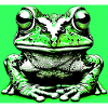 grenouille