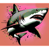 Requin