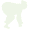 sumo