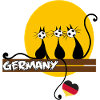 Katzen gucken  Fußball
