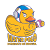 Wasserball-Ente: Dominieren oder ertrinken