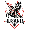 Husaria Winged Knight