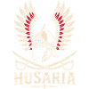 Husaria Winged Helmet