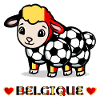 Football Mouton Belgique 