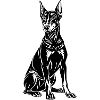 Assis par le doberman