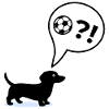 Dackel Hunde Fußball