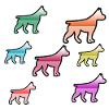 canine