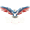 Patriotic Eagle 1776 2026 250th Anniversary