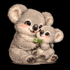 Mama Koala mit ihrem Baby