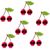 Bunte Totenkopfkirschen