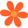 Orange Blossom Daisy Design