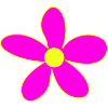 Neonpink Blütenzauber Gelbe Mitte