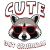Raton laveur mignon mais criminel