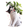Curious cat with lime on branch