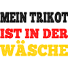 Trikot In Wäsche