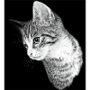 Cat silhouette in black and white