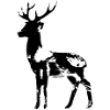 Millésime de cerf
