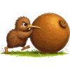 Kiwi bird drives kiwi