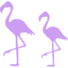Silhouettes de Deux Flamants Rose
