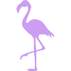 Flamant