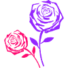 Rose Duo Neon Pink Purple