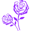Purple Rose Dream Print