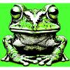 grenouille