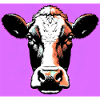 vache