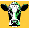 vache