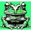 grenouille