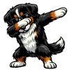 Dabbing Bernese Mountain Dog