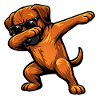 Dabbing Rhodesian Ridgeback