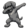 Dabbing Weimaraner