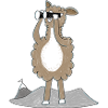 Lama mit Fernglas